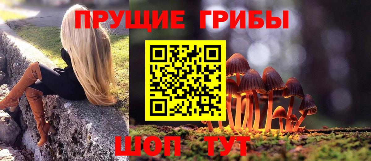 Псилоцибиновые грибы GOLDEN TEACHER Владивосток