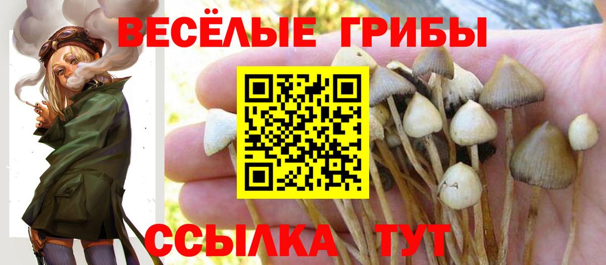Галлюциногенные грибы мицелий  Вход с VPN  Псилоцибиновые грибы Psilocybe  Владивосток 